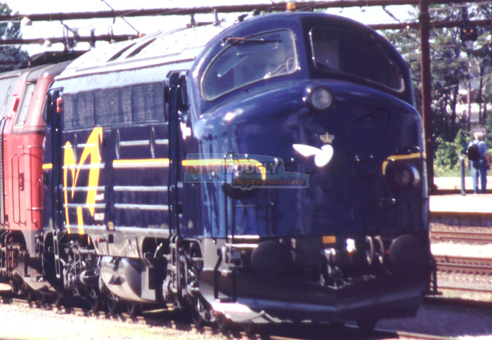 Dieselová lokomotiva MY 1135, služební - (31.03.2016)