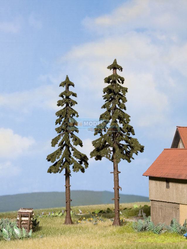 Strom - smrk - vysoký kmen 12,5 cm a 14 cm (2 ks)
