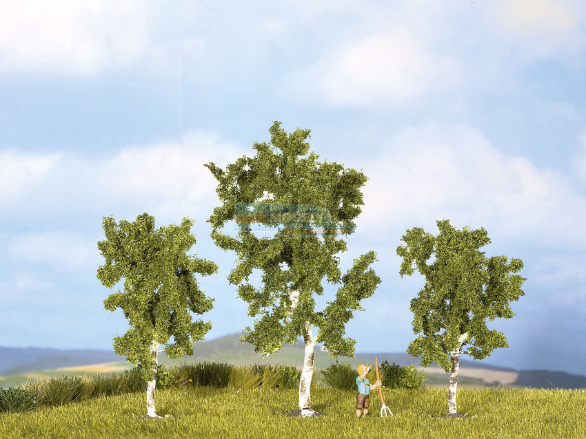 Strom - Bříza 8 a 10 cm (3 ks)