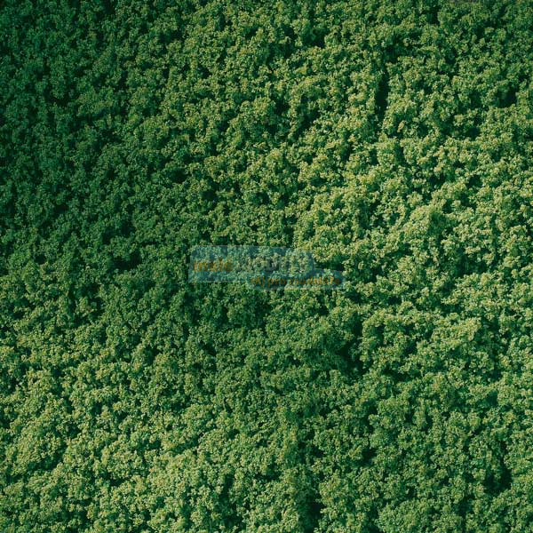 Koberec - Travnatá listová zeleň 15 x 25 cm