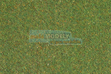 Travní koberec středně zelený 75 x 100 cm