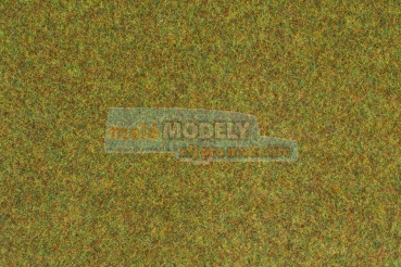 Travní koberec světle zelený 75 x 100 cm