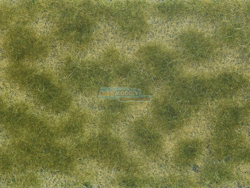 Groundcover Foliage green/beige