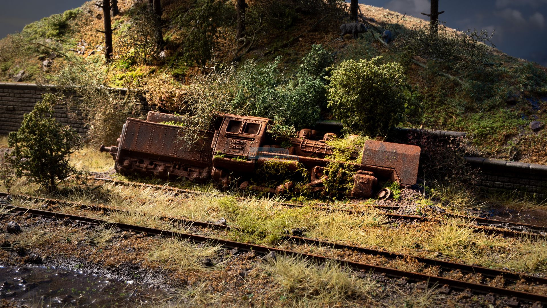 Abandoned Place *Locomotive*