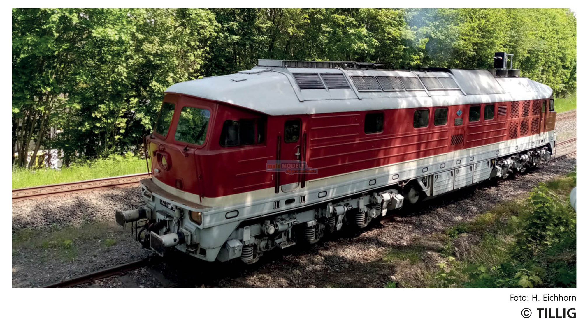 Diesellokomotive 232 426-7 der Nossen-Riesaer Eisenbahn-Compagnie GmbH, (31.03.2025), Ep. VI