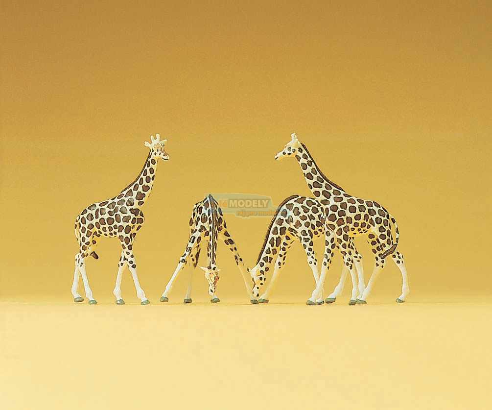 Giraffen