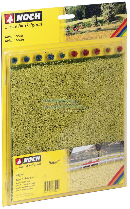 Natur - Pole řepkové 22*20 + 10*trsy