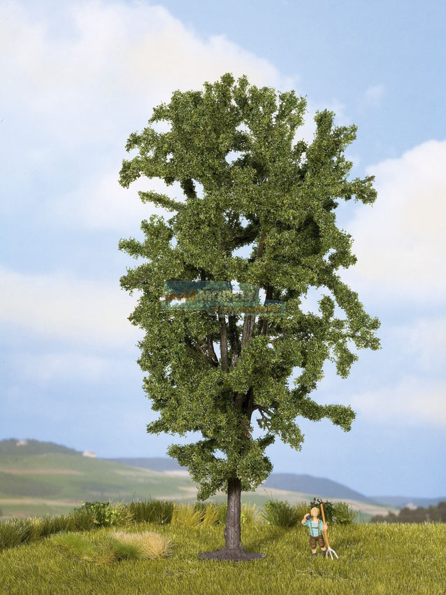 Strom - Kaštan 19 cm